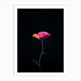 Single Flower 10 Art Print