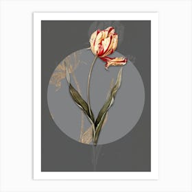 Vintage Botanical Didier's Tulip on Circle Gray on Gray n.0231 Art Print