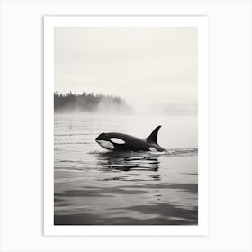 Misty Orca Whale Peeping Our Of Cold Ocean Art Print