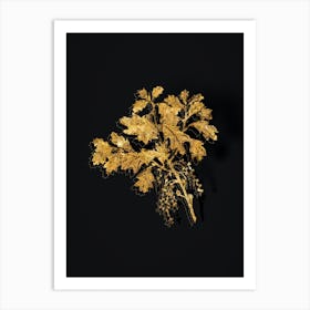 Vintage Bear Oak Botanical in Gold on Black n.0398 Art Print