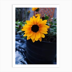 Sunflower Art Print