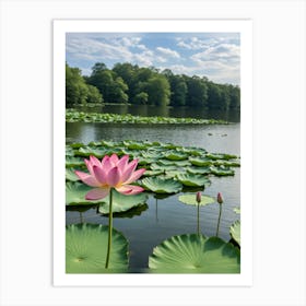 Beautiful Lotus Art Print