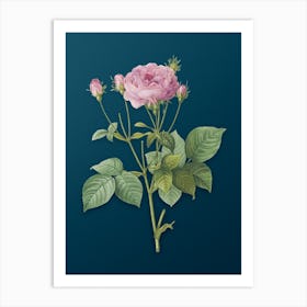 Vintage Pink French Roses Botanical Art on Teal Blue n.0706 Art Print