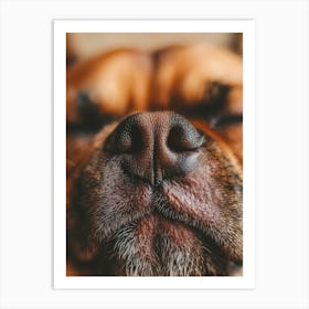 Close Up Of A Dog'S Nose.Generated AI. Art Print 1 Art Print