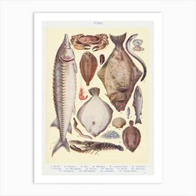 Fish II Crab, Oyster Art Print