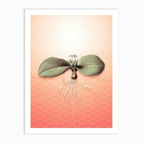 Massonia Pustulata Vintage Botanical in Peach Fuzz Hishi Diamond Pattern n.0266 Art Print