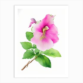 Swamp Rose Mallow Wildflower Watercolour Art Print