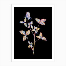 Stained Glass Pink Clover Mosaic Botanical Illustration on Black n.0178 Art Print