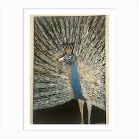 Peacock 3 Art Print