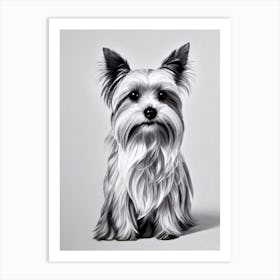 Yorkshire Terrier B&W Pencil Dog Art Print
