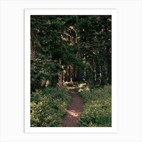 Dreamy Path Art Print