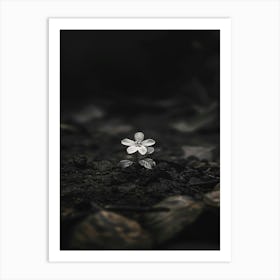 Silver Flower Art Print