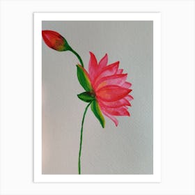 Lotus Flower Art Print