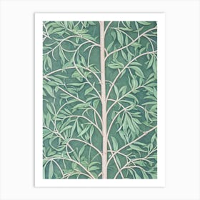 Pomelo Leaves Vintage Botanical Fruit Art Print