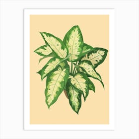 Dieffenbachia Plant Minimalist Illustration 6 Art Print