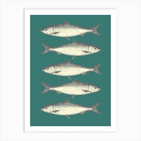 Sardines - Green Art Print