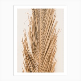 Dried Palm Leaf Art Print