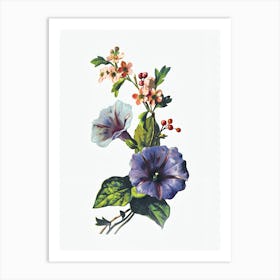 Morning Glories Art Print