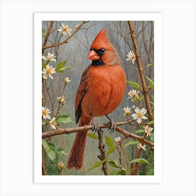 Cardinal In Bloom Art Print