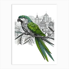 Bobo Parrot In The City Art Print