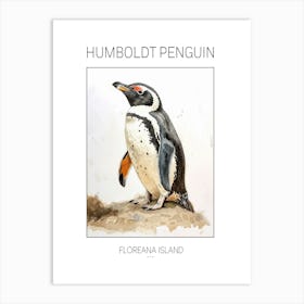 Humboldt Penguin Floreana Island Watercolour Painting 1 Poster Art Print