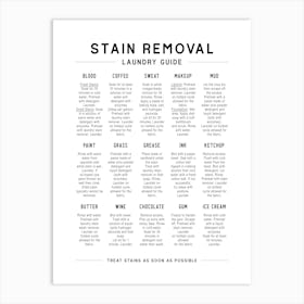 Laundry Stain Removal Guide Art Print