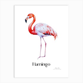 Flamingo. Long, thin legs. Pink or bright red color. Black feathers on the tips of its wings.8 Art Print