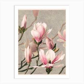 Magnolia Vintage Art Print