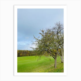 Tree In A Field 6 Art Print