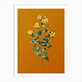 Vintage Stinking Tutsan Botanical on Sunset Orange n.0073 Art Print