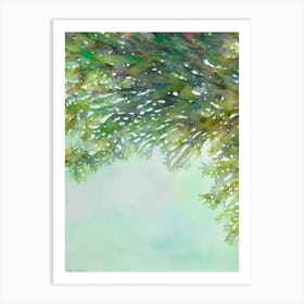 Acropora Tenius Ii Storybook Watercolour Art Print