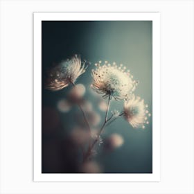 Star Flower Art Print