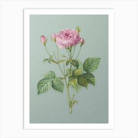 Vintage Pink French Roses Botanical Art on Mint Green Art Print
