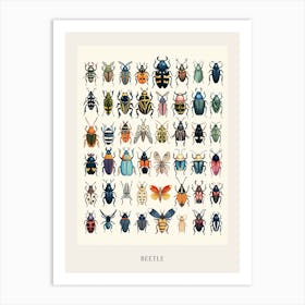 Colourful Insect Illustration Beetle 19 Poster Art Print