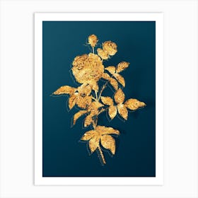 Vintage One Hundred Leaved Rose Botanical in Gold on Teal Blue n.0230 Art Print