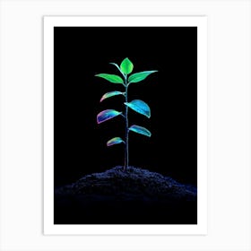 Plant Growing In The Dark 8 Art Print