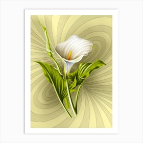 Calla Lily with curves background Art Print