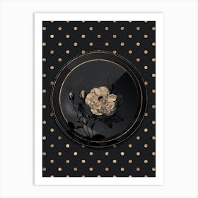 Shadowy Vintage White Rose of York Botanical in Black and Gold Art Print