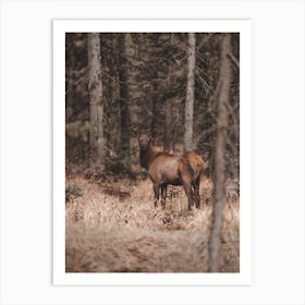 Forest Elk View Art Print