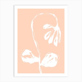 Peach Flower Art Print