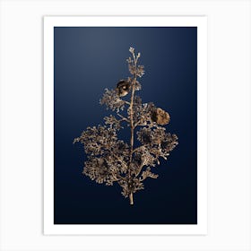 Gold Botanical Mediterranean Cypress on Midnight Navy n.0656 Art Print