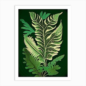 Sensitive Fern 1 Vintage Botanical Poster Art Print
