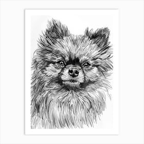 Pomeranian Line Sketch 3 Art Print