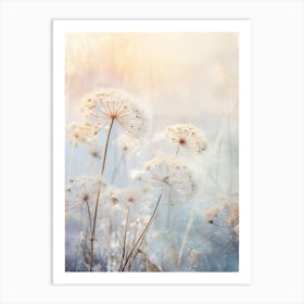 Frosty Botanical Queen Annes Lace 9 Art Print
