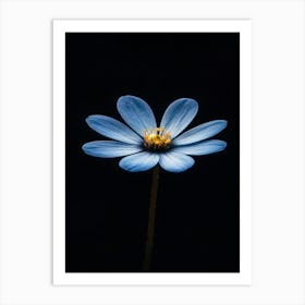 Blue Flower 9 Art Print