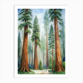 Sequoia National Park Watercolor Painting Art Print