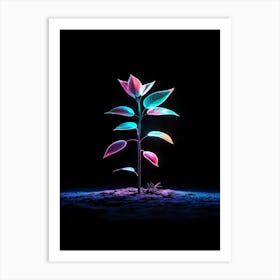 Neon Plant In The Dark 4 Art Print