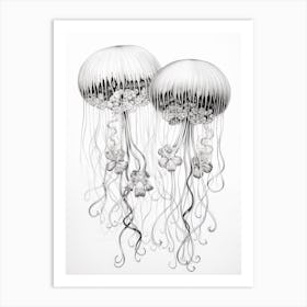 Turritopsis Dohrnii Importal Jellyfish 1 Art Print