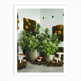 Potted Plants And Mushrooms Art Print