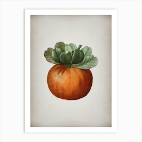 Vintage Bigarade Orange Botanical on Parchment n.0331 Art Print